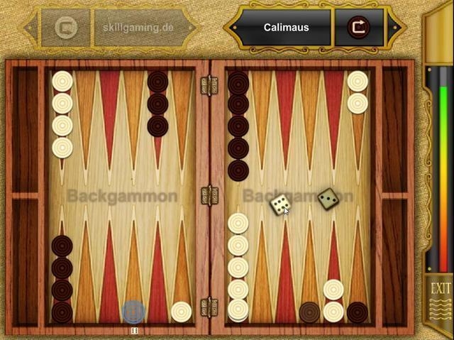 How to play Backgammon?